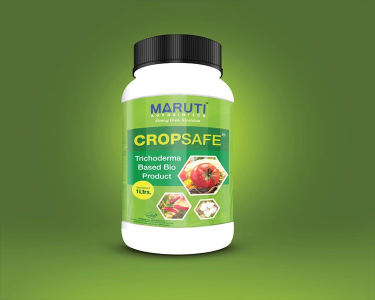 Packaging Design in himmatnagar Maruti corp