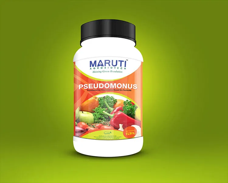 packaging design in himatnagar